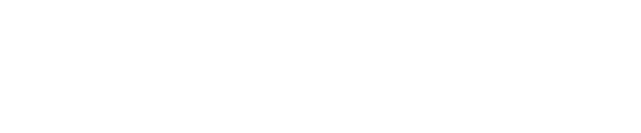 Diehl & Partner